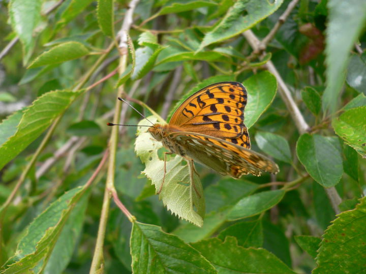 b0167762_2303080.jpg
