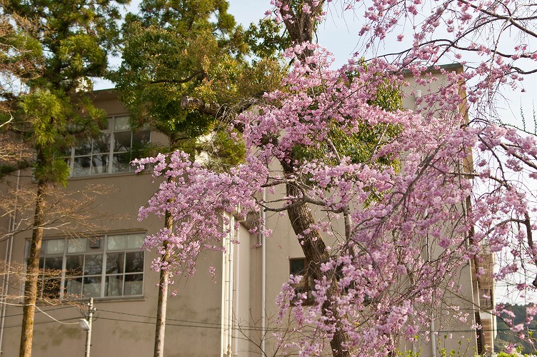 e0209962_02420.jpg