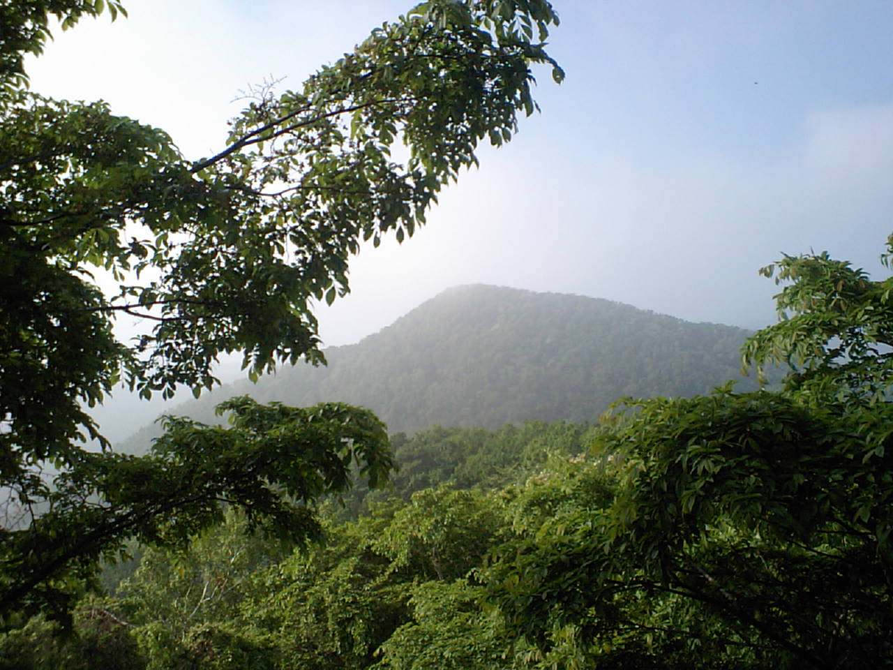 d0098665_17502339.jpg