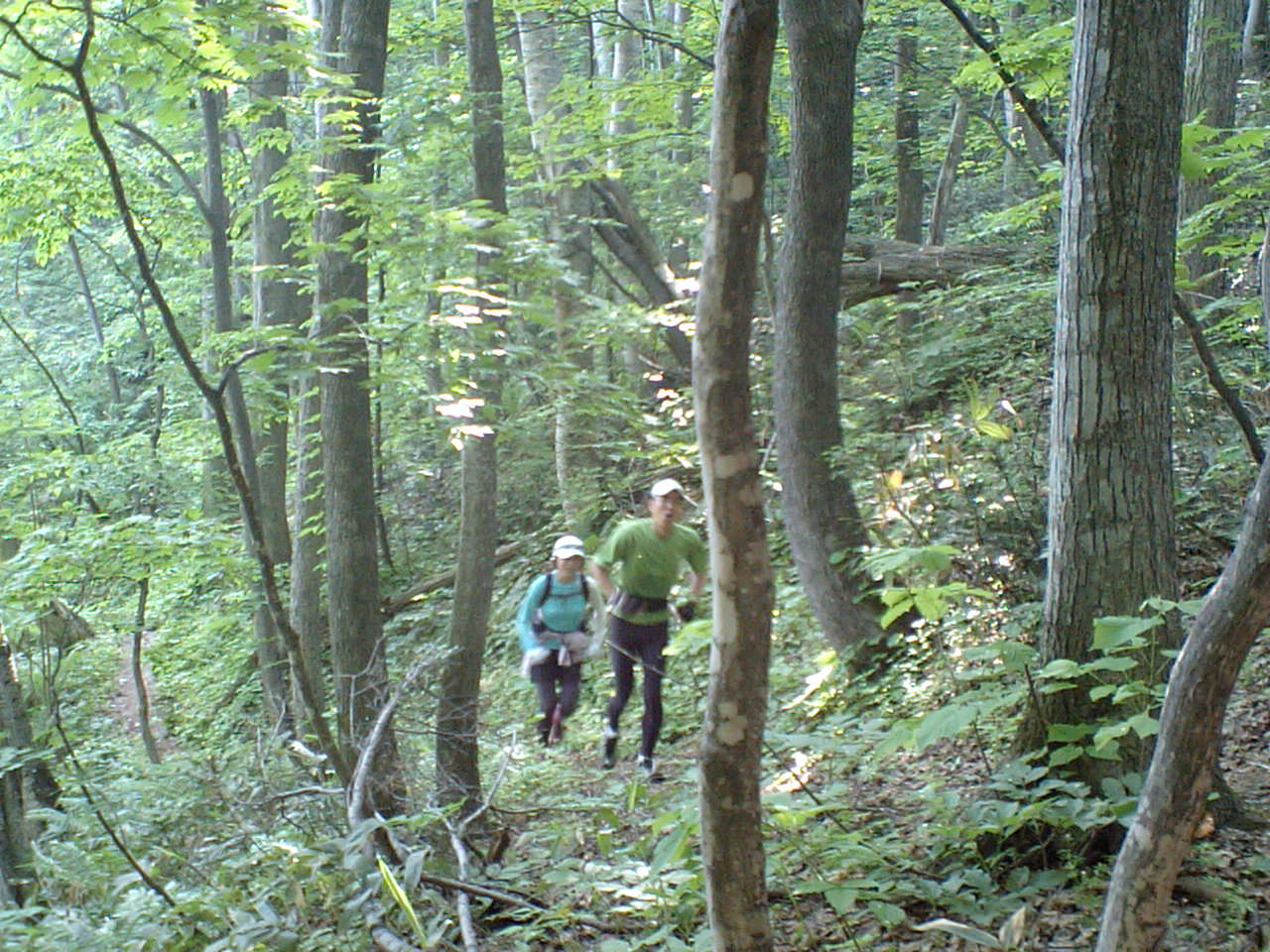 d0098665_17515137.jpg