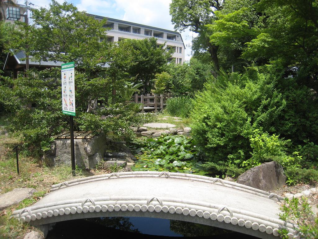 メダカの学校_f0205367_19584313.jpg
