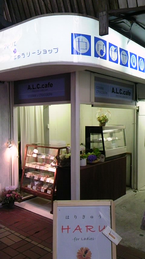 賑やかな一日!_b0224969_16573653.jpg