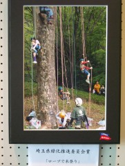 埼玉県植樹祭_e0123469_5501734.jpg