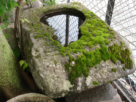 f0142070_15442922.jpg