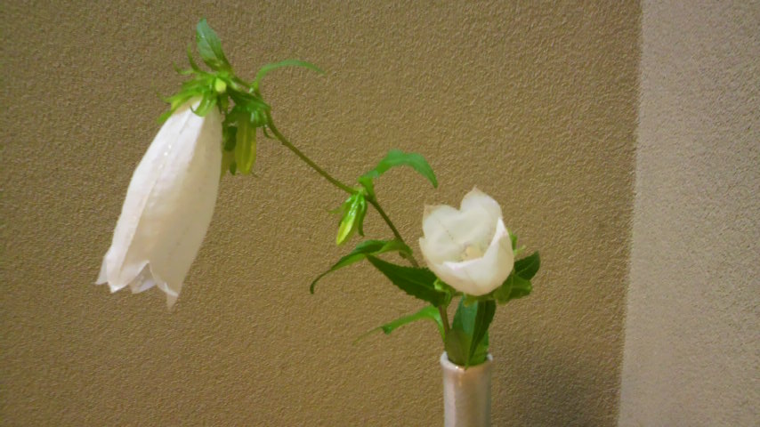時期のものですね_a0200771_15524753.jpg