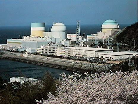 安政大地震&平成大地震(原発付)_c0139575_12505731.jpg