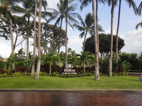 d0182075_602447.jpg