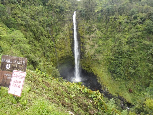 d0182075_6481547.jpg