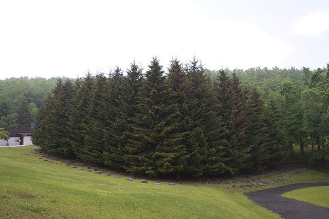 c0104378_1824469.jpg
