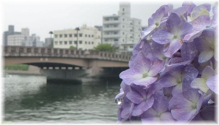 雨の日のウォーキング_d0174983_10201544.jpg