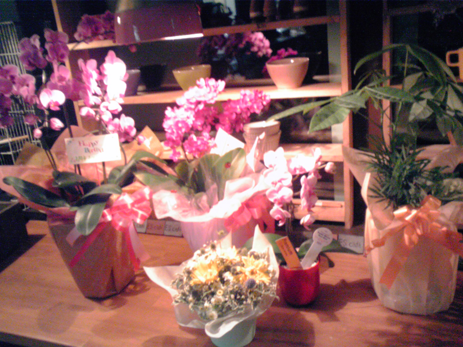 -_a0196187_21434044.jpg