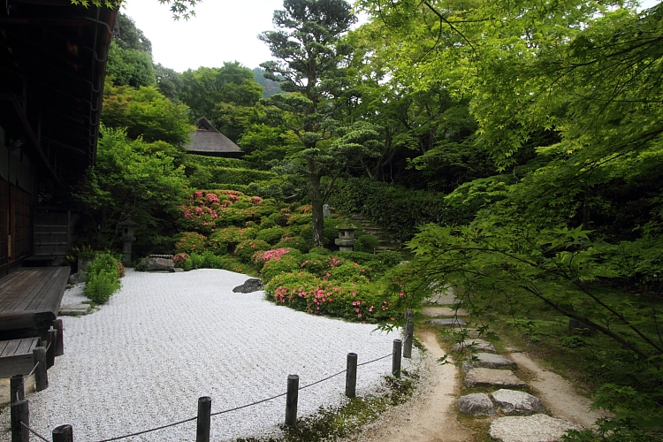 金福寺_e0051888_23271526.jpg