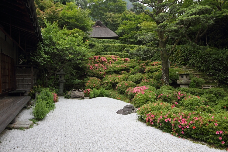 金福寺_e0051888_23273113.jpg