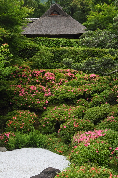 金福寺_e0051888_23275062.jpg