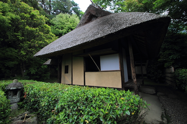 金福寺_e0051888_23304918.jpg