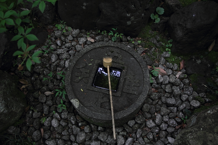 金福寺_e0051888_23312860.jpg