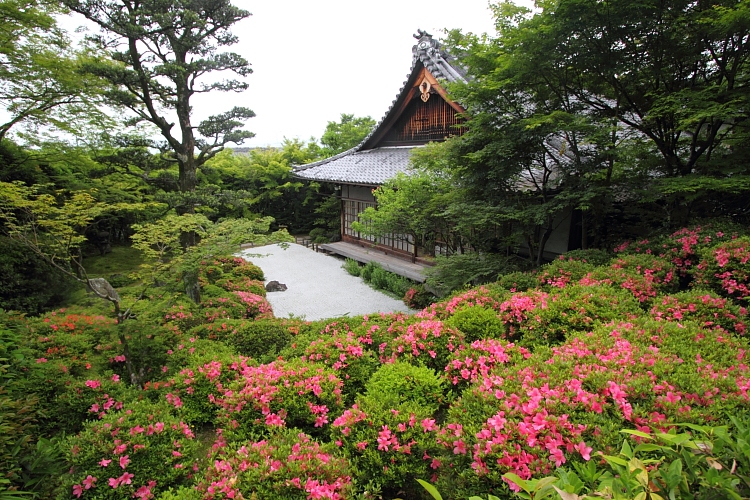 金福寺_e0051888_23314649.jpg