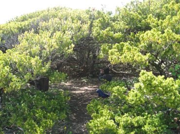 f0159390_14343334.jpg