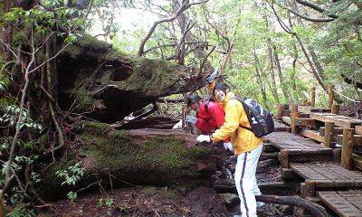 4月5日 縄文杉ツアー_f0220093_16502563.jpg