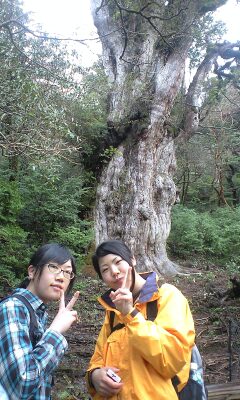 4月5日 縄文杉ツアー_f0220093_16504037.jpg