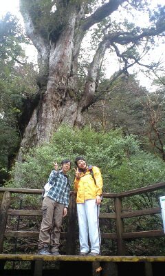 4月5日 縄文杉ツアー_f0220093_1650554.jpg