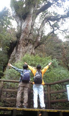 4月5日 縄文杉ツアー_f0220093_16511111.jpg