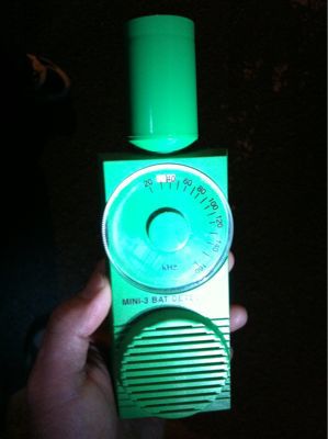 本日は絶好のホタル日和か?_d0178999_2233472.jpg