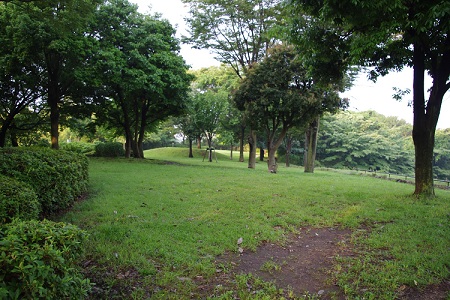 c0147909_16535080.jpg