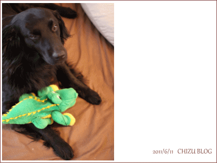 c0017311_04171.gif