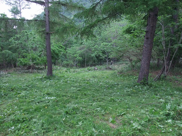 6月11日(土) 吉村山林 天候:晴れのち雨 参加:15名_c0173813_2036018.jpg