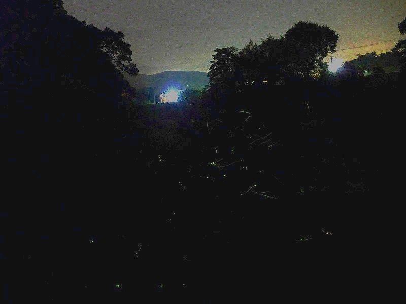 f0182513_018100.jpg