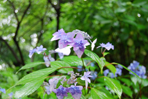 a0031714_16442066.jpg
