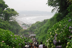 a0031714_1650599.jpg