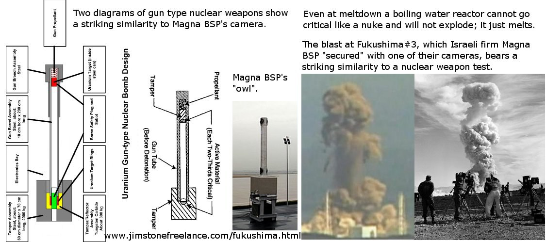 日本政府と東電の「21世紀最初の真実」:日本がイランにプルトニウムを売っていた!?_e0171614_8422071.jpg