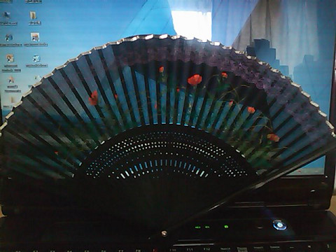 f0046614_131452.jpg