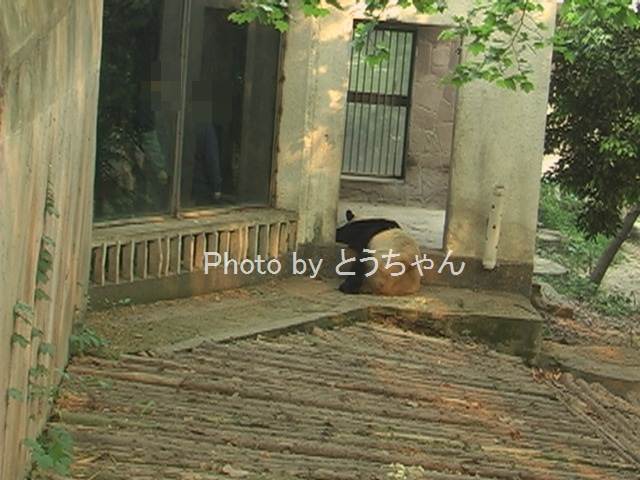 f0079716_22442983.jpg