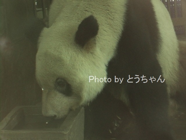 f0079716_22483054.jpg