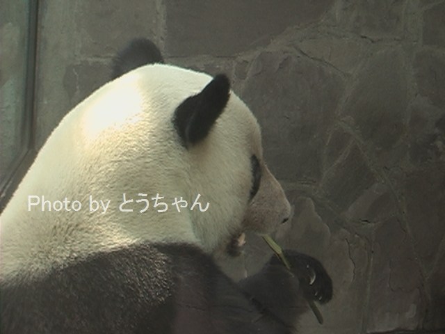 f0079716_22485377.jpg
