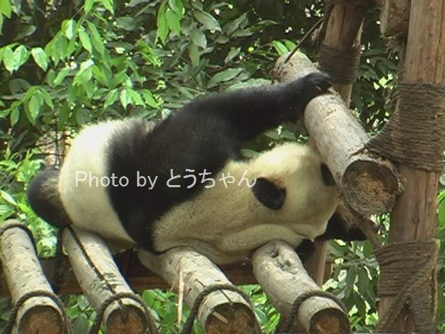 f0079716_22492820.jpg