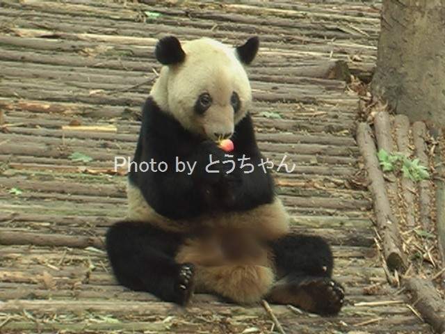 f0079716_22502797.jpg