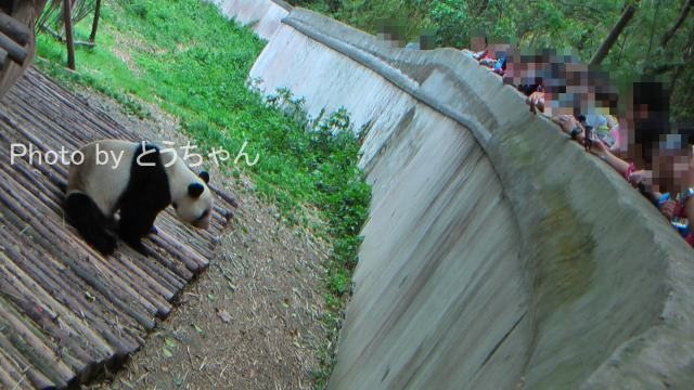 f0079716_22512082.jpg