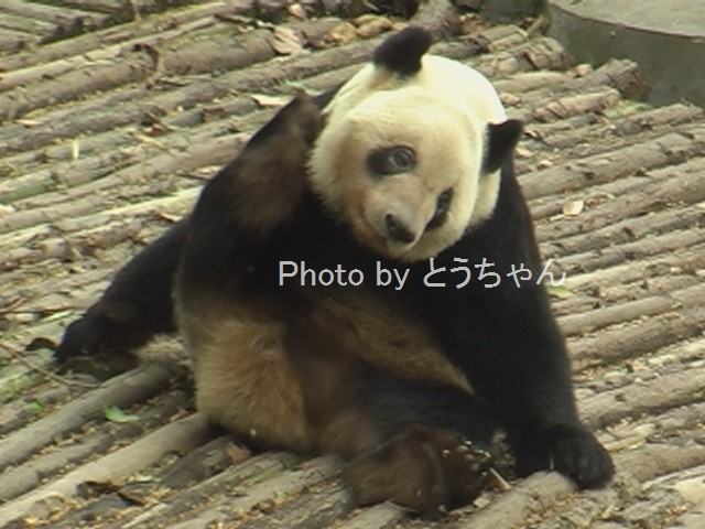 f0079716_22521690.jpg