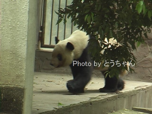 f0079716_22583356.jpg