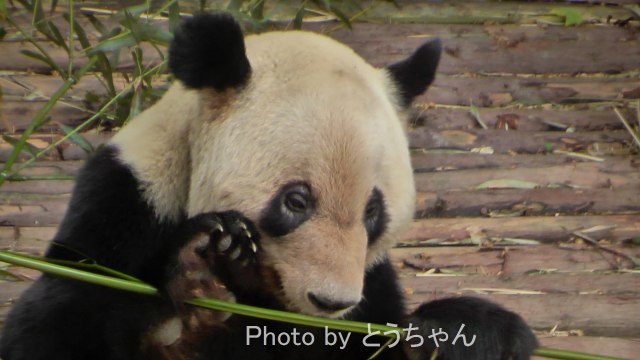 f0079716_2303364.jpg