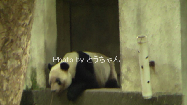 f0079716_2335360.jpg