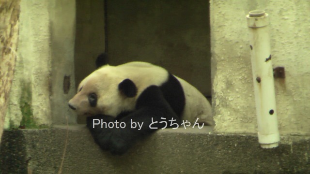 f0079716_2342919.jpg