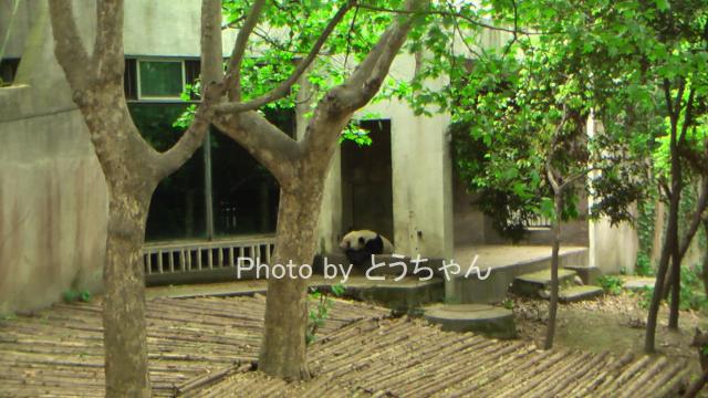 f0079716_2345132.jpg