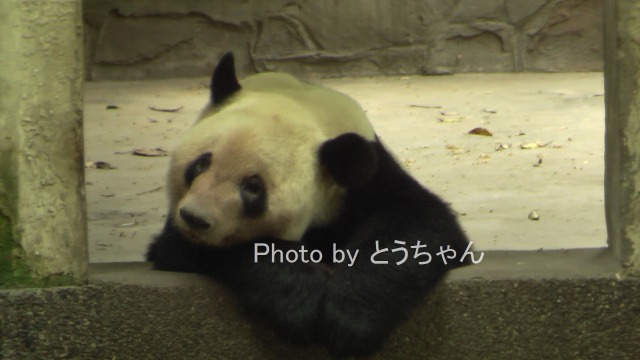 f0079716_2352294.jpg