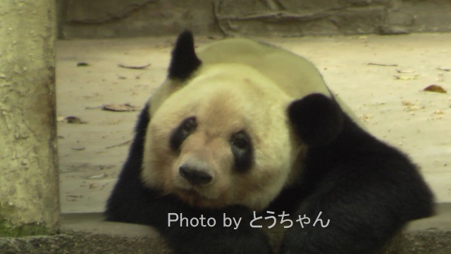f0079716_2354388.jpg