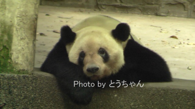 f0079716_236780.jpg